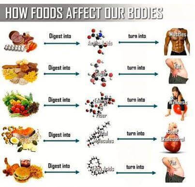 How Foods Affect our Bodies - Healthy Eating Clean Fitness