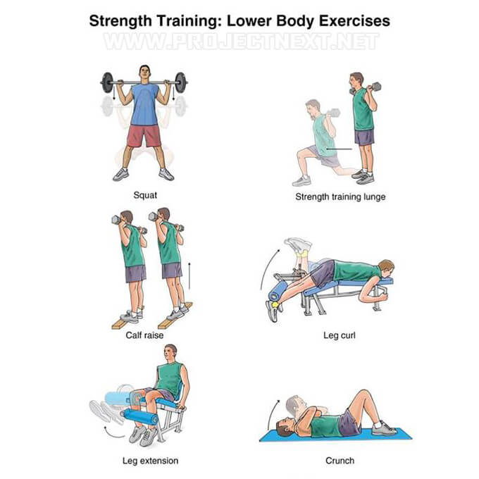 Strength Training Lower Body Exercises - Fitness Healthy Workout