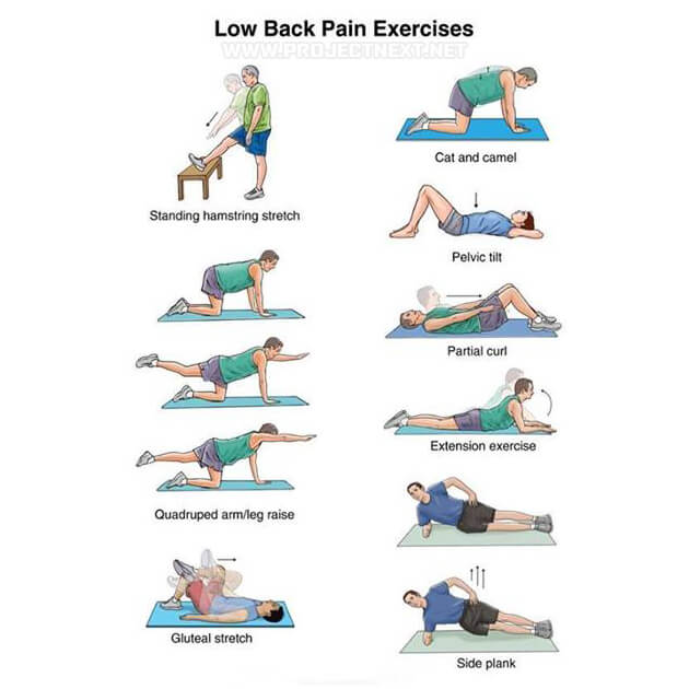 Strength Training Low Back Pain Exercises - Fitness Workout Gym