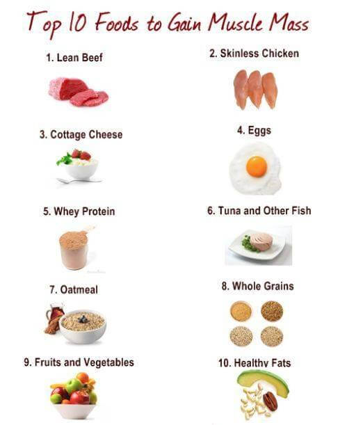 Top 10 Foods to Gain Muscle Mass - Healthy Fitness Recipes Eggs
