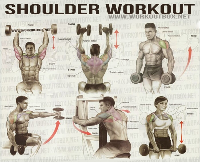 Shoulder Workout - Healthy Fitness Workout Arms Back Sixpack Ab