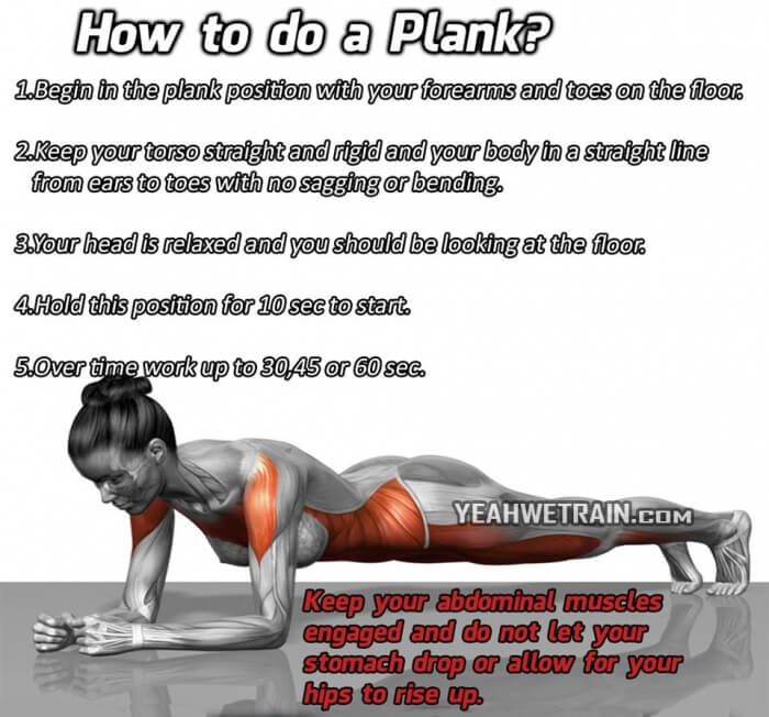 How to do a Plank - Best Sixpack Workout Tips Abs Training Core