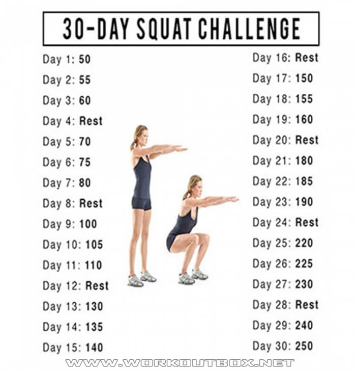 Gnc pro performance lean muscle meal chocolate, squat leg wraps for