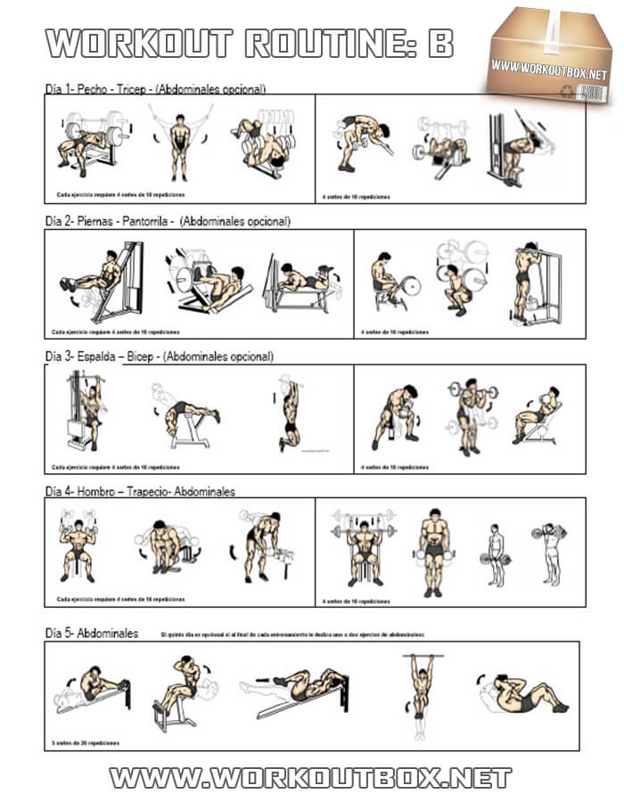 Workout Routine B - Healthy Fitness Full Body Training Plan Gym