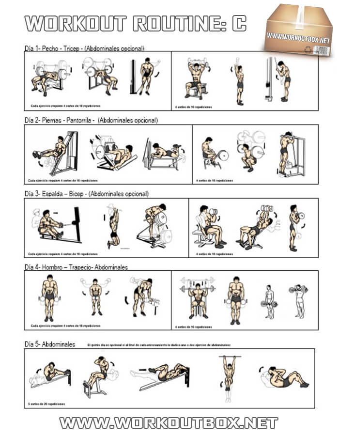 Workout Routine C - Healthy Fitness Full Body Training Plan Gym