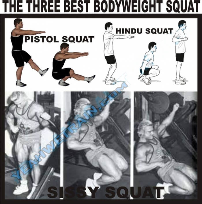 The Three Best Bodyweight Squat - Healthy Fitness Workout Leg Ab