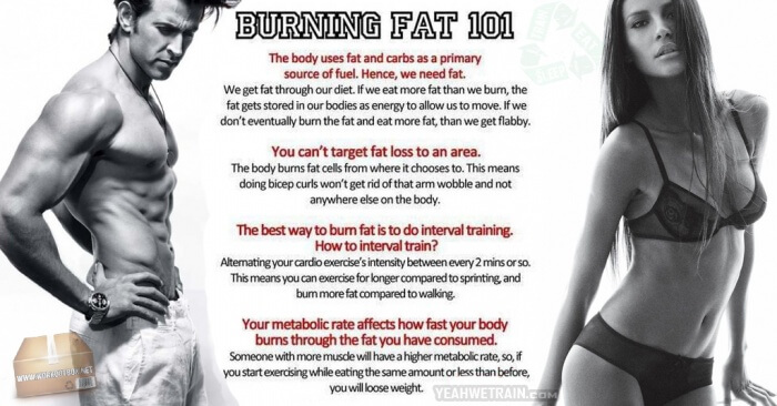 Burning Fat 101 - Healthy Tips And Tricks For A Sexy Body Ab Eat