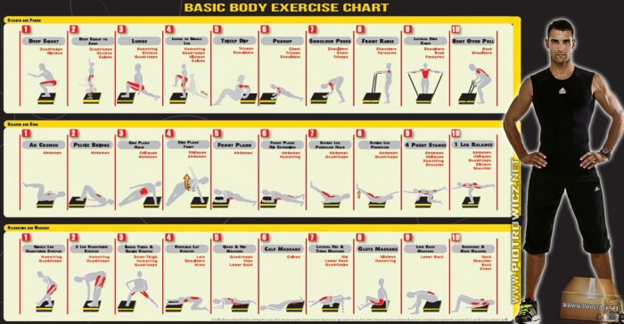 Basic Body Exercise Chart - Healthy Fitness Training Sixpack Abs