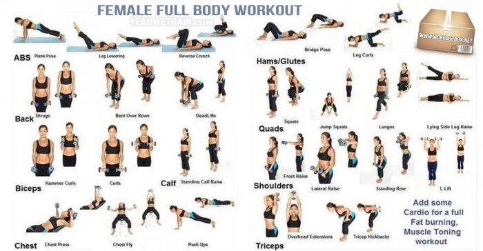 Female Full Body Workout - Healthy Fitness Training Sixpack Abs