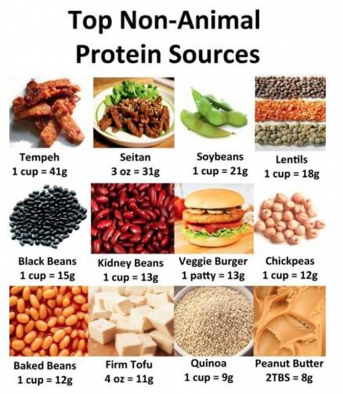 Top Non-Animal Protein Sources - Healthy Veggie Food Tips Soy Ab