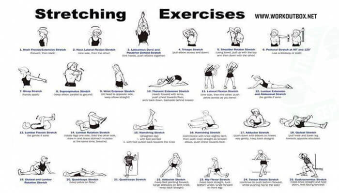 Stretching Exercises for Flexibility - Healthy Fitness Workout