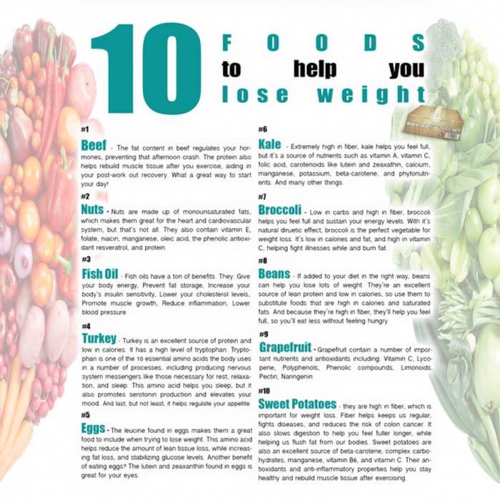 10 Foods To Help You Lose Weight ! Beef Nuts Fish Oil Turkey Egg