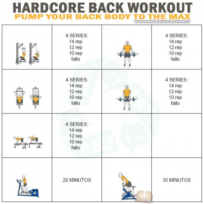 Hardcore Back Workout - Pump Your Back Body The Max Arm Triceps