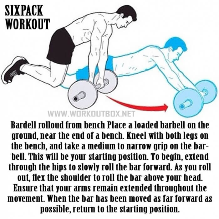 Sixpack Workout With A Bardell Rolloud From Bench Place ! Low Ab