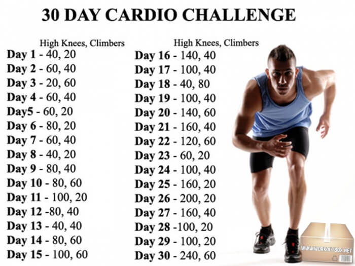 30 Day Cardio Challenge - Fitness Workout Climbers Fit Strong Ab