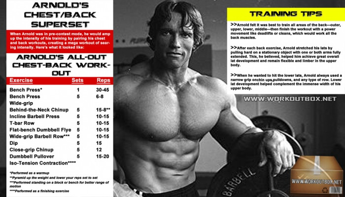 Arnold Chest And Back Workout Routine - Schwarzenegger Training