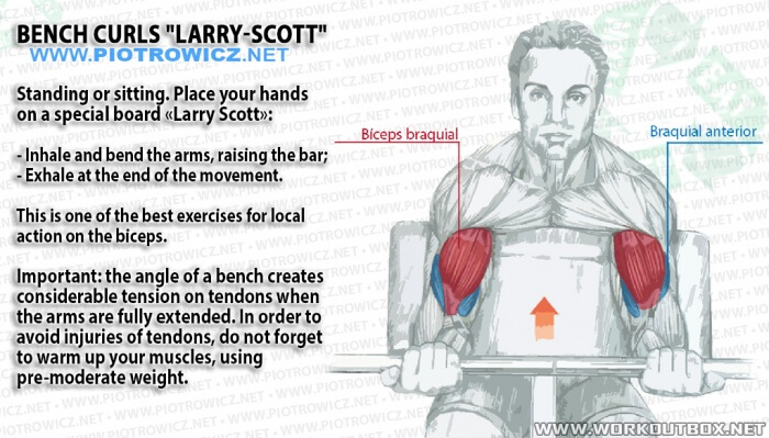 Bench Curls - Larry-Scott Training How To Build Bigger Biceps Ab