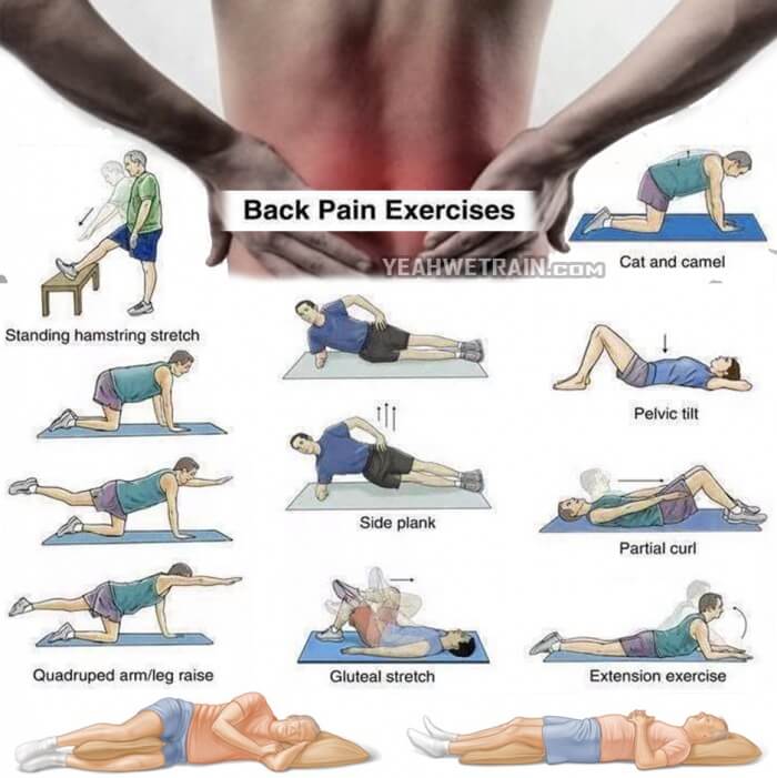 Back Pain Exercises - Healthy Back Workout Training Lower Higher