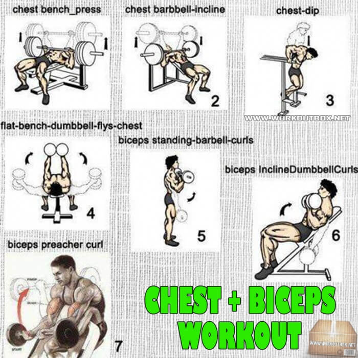 Chest + Biceps Workout Plan - Fitness Training For A Strong Body