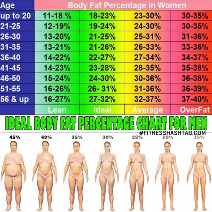Ideal Body Fat Percentage Chart For Women - What Is Yours Now ? 