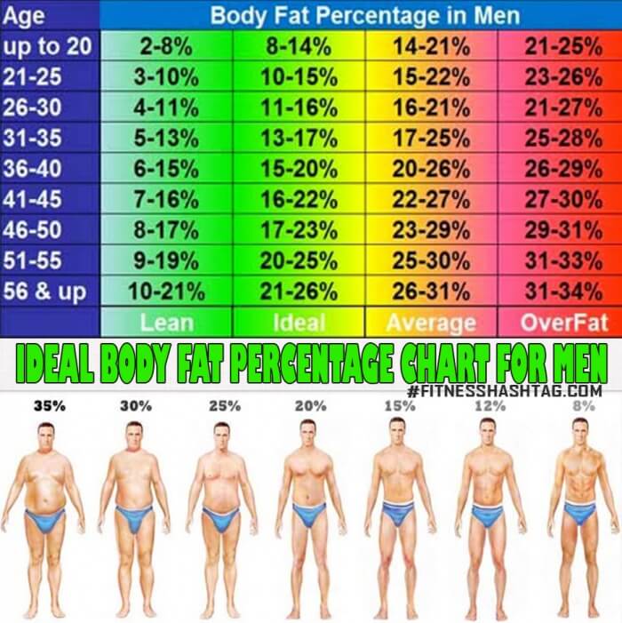 Ideal Body Fat Percentage Chart For Men - What Is Yours Now ? Ab