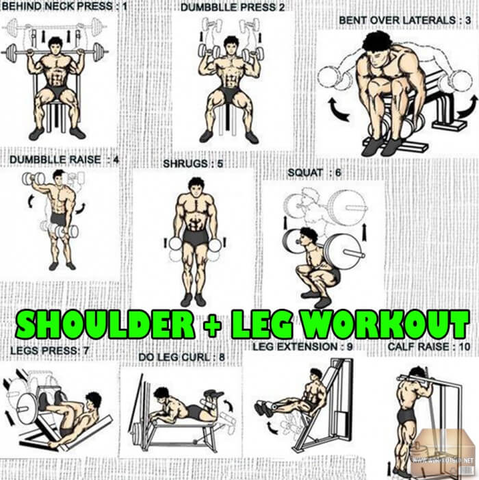 Shoulder + Leg Workout Plan - Fitness Training For A Strong Body