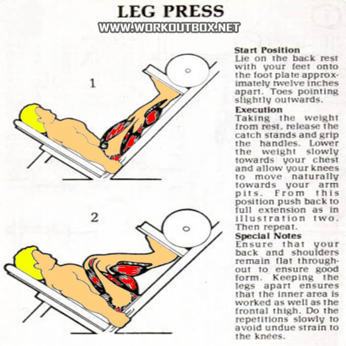 Leg Press - Hardcore Legs Training Strong Body Execution Butt Ab