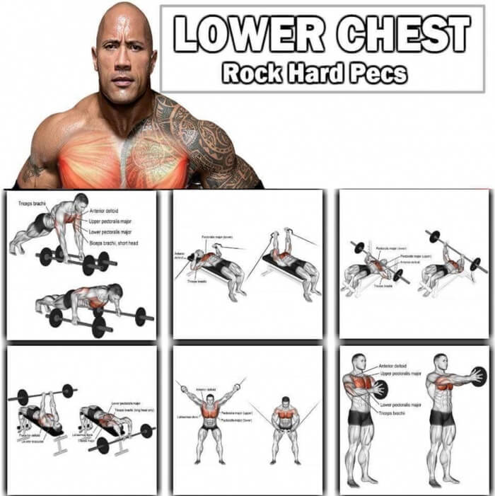 Lower Chest Training - The Rock Hard Pecs Workout