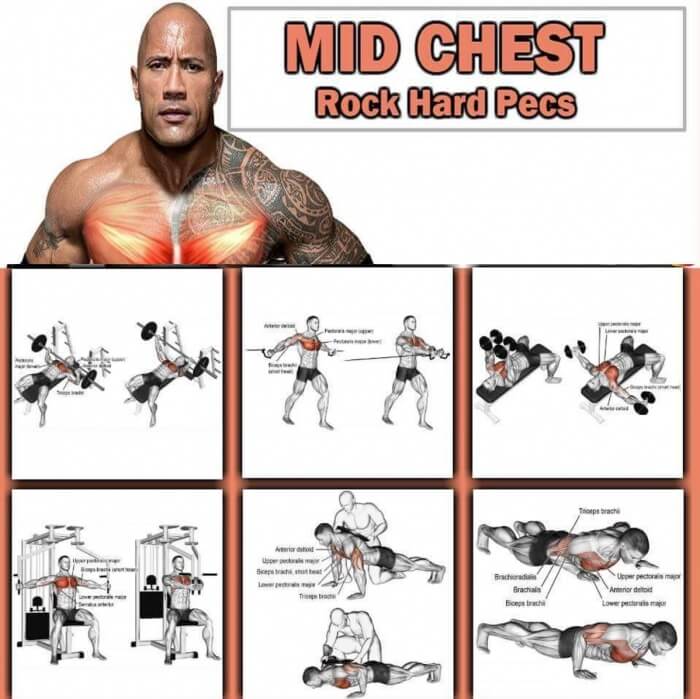 Mid Chest Training - The Rock Hard Pecs Workout